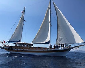 Bodrum'da Göz Alıcı Maviliklerde, Tüm İhtiyacınızı Karşılayacak Gulet - 3