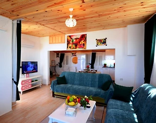 Kaş Bezirgan'da Harika Manzaralı, Jakuzili, Konsept Tatil Evi - 4