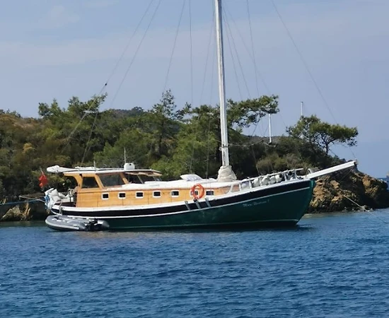 Gökova'nın Yemyeşil Doğası ve Eşsiz Suları Eşliğinde, Konforlu Gulet - 1