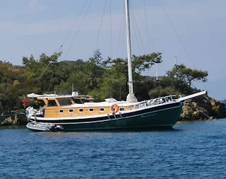 Gökova'nın Yemyeşil Doğası ve Eşsiz Suları Eşliğinde, Konforlu Gulet - 1