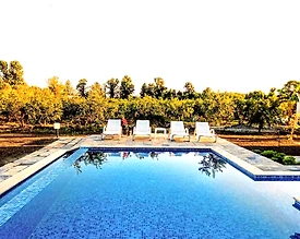 Ortaca Dalyan'da Huzurlu Doğada, Özel Havuzlu, Lüks Kiralık Villa - 3