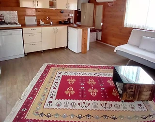 Bodrum Gümüşlük'te Doğa İçerisinde, Merkezi Konumda, Kiralık Bungalov - 5