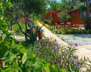 Bodrum Gümüşlük'te Doğa İçerisinde, Merkezi Konumda, Kiralık Bungalov - 1