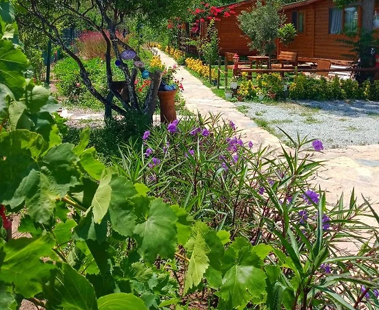 Bodrum Gümüşlük'te Doğa İçerisinde, Merkezi Konumda, Kiralık Bungalov - 1