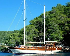 Bodrum'da Mavi Yolculuk Sunan, 5 Kabinli, Lüks Gulet - 3