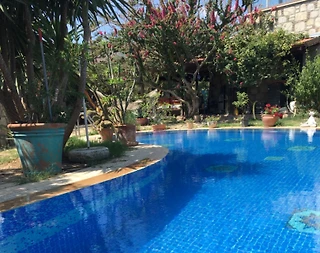 Datça'da Müstakil Bahçeli, Özel Havuzlu, Kiralık Villa - 3