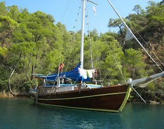 Bodrum Limanında Enfes Sularda, 2 Kabinli Kiralık Gulet - 1