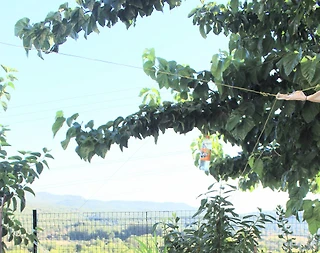 Kaş Çukurbağ'da Enfes Doğa Manzaralı, Özel Havuzlu, Yazlık Villa - 4