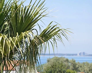 Didim Akbük'te Özel Plajlı Tesiste, Ailelere Uygun, Yazlık Ev - 2