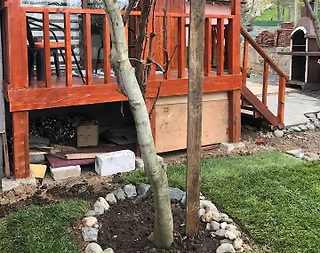 Sapanca Memnuniye'de Müstakil Bahçeli, 2 Kişilik, Kiralık Tiny House - 4