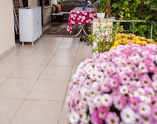 Sapanca Rüstempaşa'da Doğa Manzaralı, Özel Havuzlu, 4+1 Villa - 4