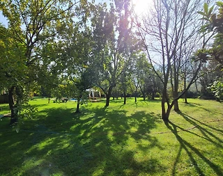 Kocaeli Maşukiye'de Geniş Bahçe İçerisinde, Özel Havuzlu, Kiralık Villa - 4