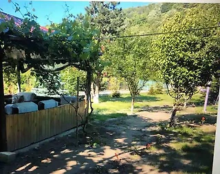 Sapanca Memnuniye'de Özel Havuzlu, 1+1, Ahşap Tiny House - 4