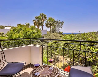 Kaş Patara'da Geniş Bahçeli, Isıtma Havuzlu, Saunalı, Jakuzili Villa - 4