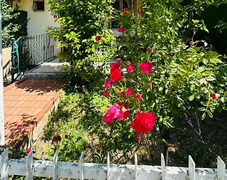 Bursa Nilüfer'de Merkezi Konumda, Konforlu Tasarıma Sahip Kiralık Ev - 5