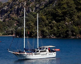 Muğla Marmaris'de Kalabalık Ailelere Uygun, Kaptanlı Kiralık Gulet - 2