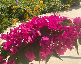 Marmaris Turgut'ta Denize 150 Metre Mesafede, Konforlu Ev - 2