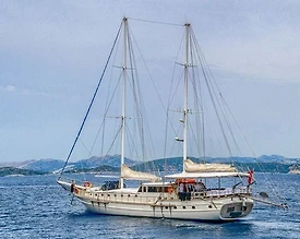 Bodrum'da Görkemli Doğada, 16 Kişilik, Lüks Gulet - 2
