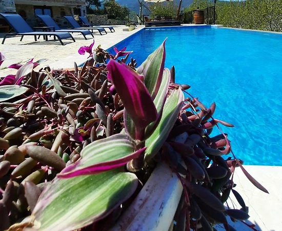 İzmir Selçuk'ta Yeşillikler İçinde, Özel Havuzlu, Jakuzili, Taş Villa - 1