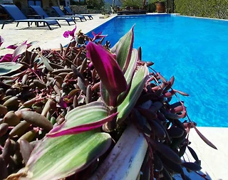 İzmir Selçuk'ta Yeşillikler İçinde, Özel Havuzlu, Jakuzili, Taş Villa - 1