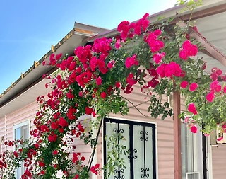 Antalya Demre'de Merkeze Yakın, 5 Kişilik, Müstakil Tatil Evi - 1