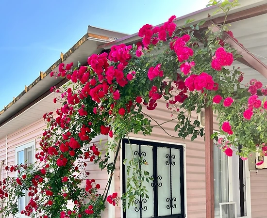 Antalya Demre'de Merkeze Yakın, 5 Kişilik, Müstakil Tatil Evi - 1