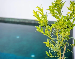 Kaş Andifli'de Modern Tasarıma Sahip, Özel Havuz ve Jakuzili Villa - 5