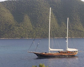 Bodrum'un Muhteşem Mavi Sularında 12 Kişilik, Delüks Gulet - 3