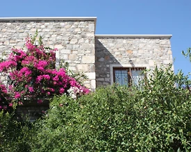 Bodrum Bitez'de Yemyeşil Bahçeli, Özel Havuzlu, Konforlu Villa - 2