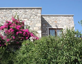 Bodrum Bitez'de Yemyeşil Bahçeli, Özel Havuzlu, Konforlu Villa - 2