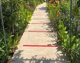 Marmaris Turgut'ta Merkezi Konumda, Geniş Bahçeli, Kiralık Ev - 5