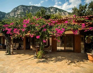 Menteşe Kuyucak'da Harika Tasarımlı, Özel Havuzlu, Kiralık Villa - 3