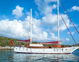 Bodrum'da Keyifli Bir Deneyim Yaşayacağınız, 6 Kişilik, Konforlu Gulet - 5