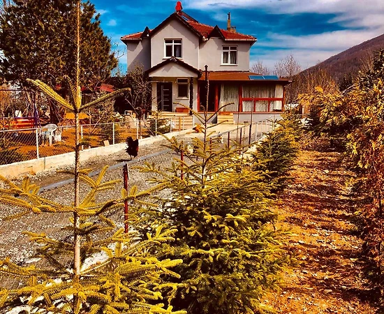 Sapanca Memnuniye'de Geniş Ailelere Uygun, Geniş Bahçeli, Kiralık Villa - 1