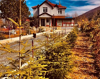 Sapanca Memnuniye'de Geniş Ailelere Uygun, Geniş Bahçeli, Kiralık Villa - 1