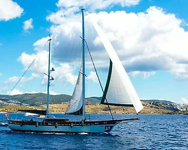 Bodrum'da Modern Tasarımlı, 3 Kabinli, Ferah Gulet - 3