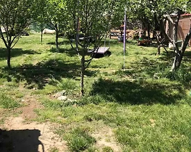 Sapanca Memnuniye'de Müstakil Bahçeli, 2 Kişilik, Kiralık Tiny House - 2