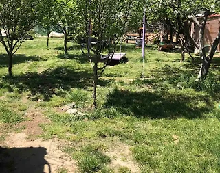 Sapanca Memnuniye'de Müstakil Bahçeli, 2 Kişilik, Kiralık Tiny House - 2