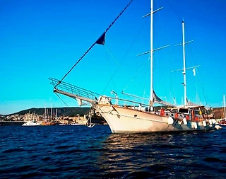 Bodrum'da Görkemli Doğada, 16 Kişilik, Lüks Gulet - 4