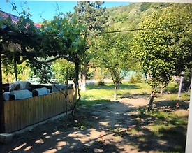 Sapanca Memnuniye'de Geniş Ailelere Uygun, Geniş Bahçeli, Kiralık Villa - 2