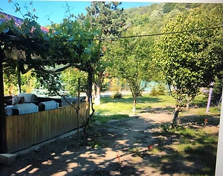 Sapanca Memnuniye'de Geniş Ailelere Uygun, Geniş Bahçeli, Kiralık Villa - 2