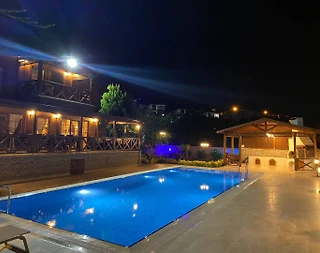 İstanbul Şile'de Geniş Bahçeli, Özel Havuzlu, Ahşap Villa - 2