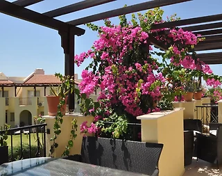 Didim Akbük'te Denize Sıfır, Eşsiz Manzaralı, Konforlu Tatil Villası - 3