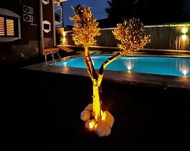 Sapanca Memnuniye'de Özel Havuzlu, Geniş Bahçeli, Kiralık Villa - 3