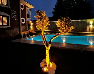 Sapanca Memnuniye'de Özel Havuzlu, Geniş Bahçeli, Kiralık Villa - 3