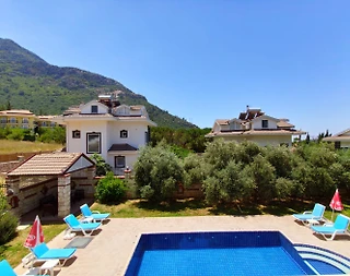 Fethiye Ölüdeniz'de Geniş Bahçeli, Özel Havuzlu, 4+1 Ferah Villa - 3