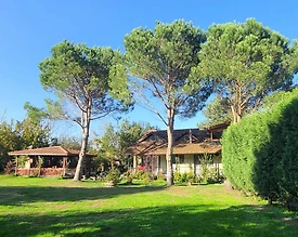 Kocaeli Maşukiye'de Geniş Bahçe İçerisinde, Özel Havuzlu, Kiralık Villa - 2