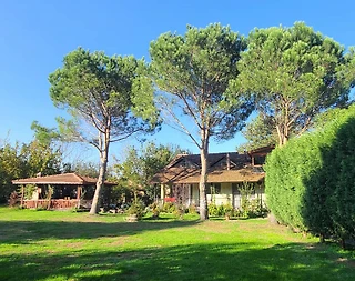 Kocaeli Maşukiye'de Geniş Bahçe İçerisinde, Özel Havuzlu, Şık Villa - 2