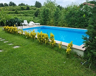 Sapanca'da Şehrin Gürültüsünden Uzak, Özel Havuzlu, Lüks Villa - 2