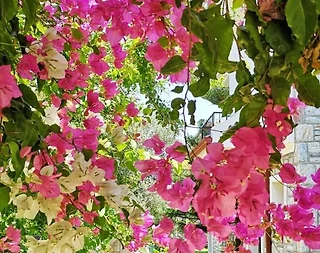 Datça'da Emecik'te Plaja Yakın, Modern Tasarımlı, Dubleks Villa - 4